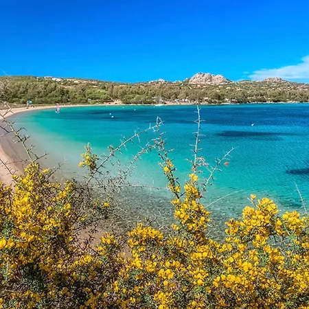 Galatea -bilocale Palau