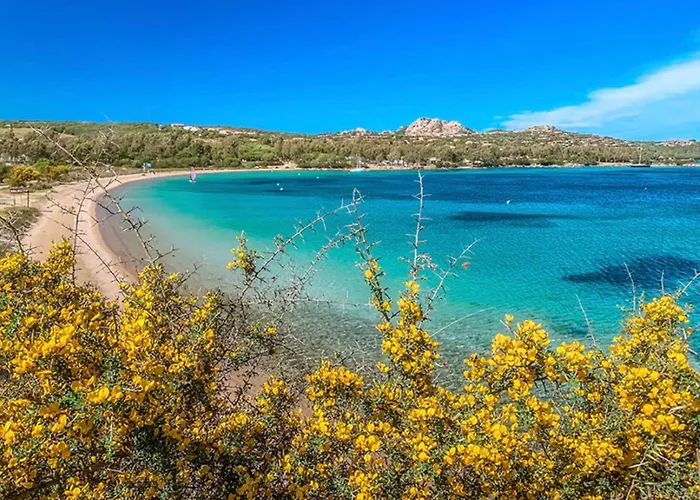 Galatea -bilocale パラーウ